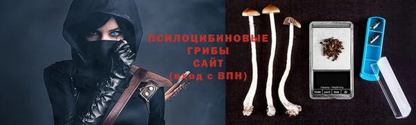 PSILOCYBIN Семикаракорск