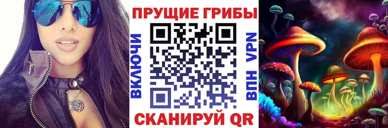 Галлюциногенные грибы Psilocybe  купить  цена  Снежинск 